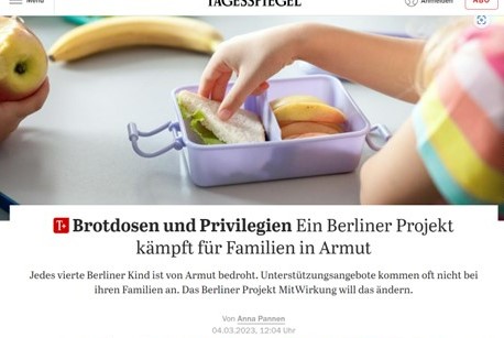 MitWirkung im Tagesspiegel: Screenshot des Artikels