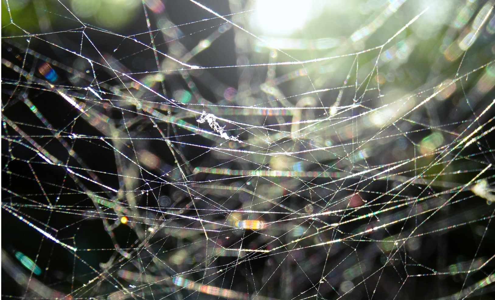 Wassertropfen: Foto von Bas van den Eijkhof auf Unsplash (bearbeitet)